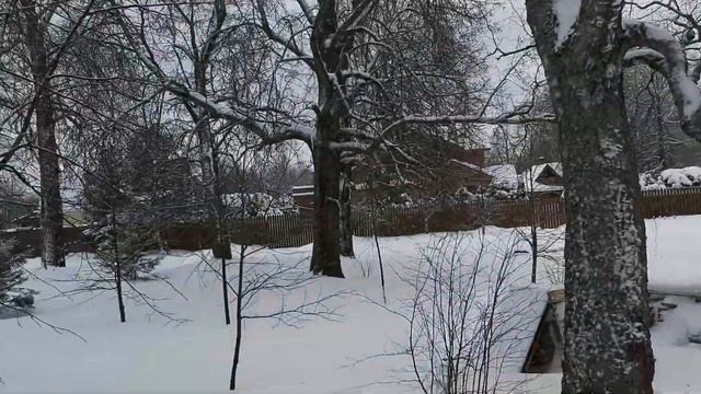 Видеообзор деревни Бутырки (живописные места) Александровский район Владимирская область.