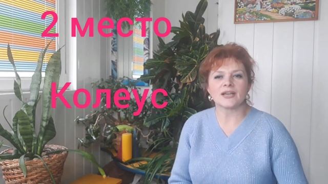 #Сад СветаСветланы #Однолетники    Топ 5 СУПЕР  красивых неприхотливых  однолетников