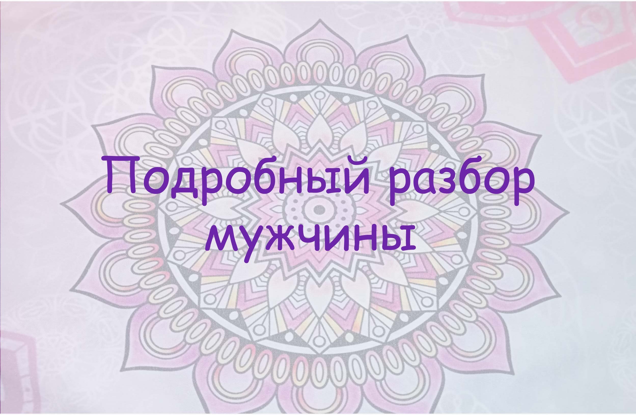 Подробный разбор мужчины