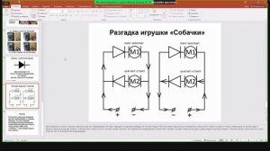 Начала информатики, или две извилины в мозгу игрушки «Собачка»