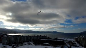 После ночного снегопада... // НАГАЕВО, МАГАДАН