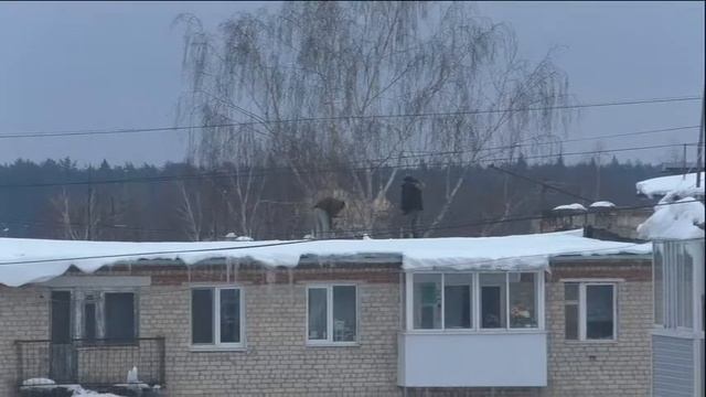 Джентельмены удачи смотреть онлайн