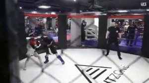 Турнир по смешанным единоборствам "ОСЕ" в открытой клетке