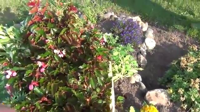 Цветы цветники клумбы цветочные на участке смотреть онлайн