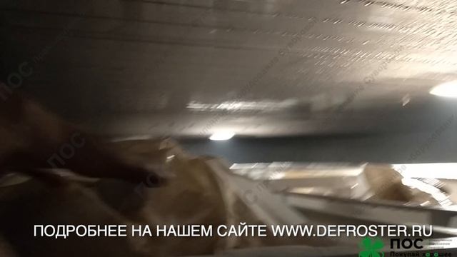 Камера дефростации (дефростер) для разморозки птицы (курицы). Дефростация курицы в ящиках и нарамах.