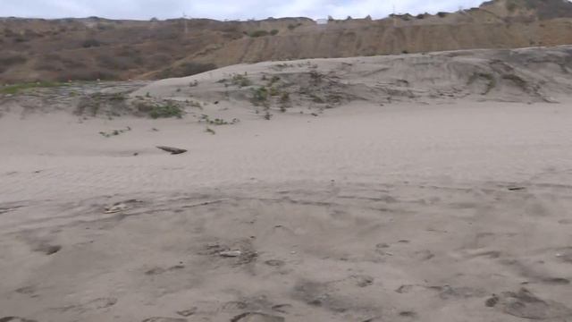 Рыба которая сама выпригивает из воды смотреть онлайн