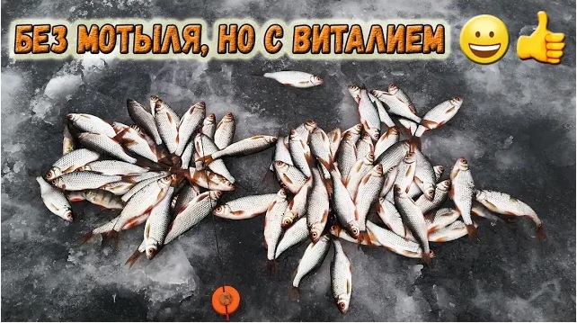 Запоздалый ? видео отчет о рыбалке 3 января - Безмотылка + смотреть онлайн