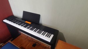 Casio CDP-220r