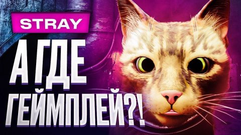 Обзор Stray