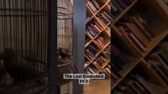 The Last Bookstore pt 2. #LosAngeles #books #travel #viral #trending #foryou