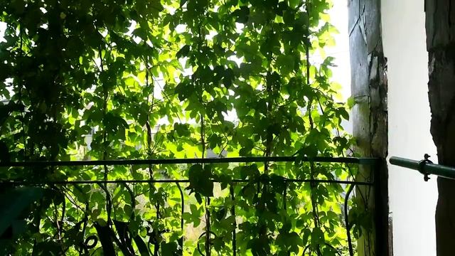 Лестница на 2 этаж смотреть онлайн