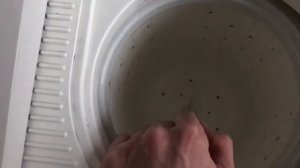 Стиральная машина не сливает воду при отжиме. Устраняем проблему