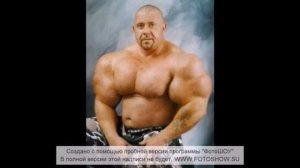 Synthol/Синтол