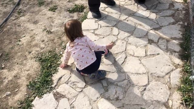 Алиса и белые кролики смотреть онлайн