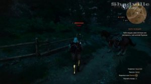 Гвинт с бароном, скачки и пещера под Вроницами — The Witcher 3: Wild Hunt Прохождение игры #17