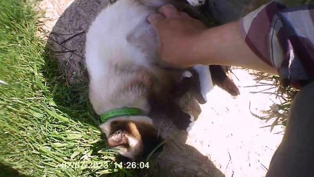 Подтверждение того, что прошлое желание сделать лучше приводить к худшему. смотреть онлайн