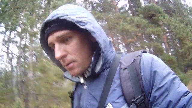 Грибы в сосновом лесу. Рыжики, зеленушки, рядовки. Ковалевский лес. Ноябрь 2018. смотреть онлайн