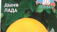 Ещё про дыни.