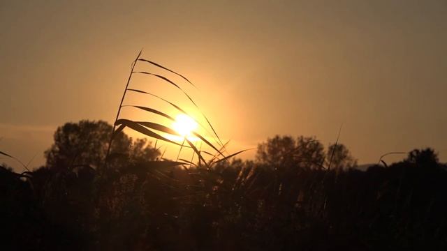 Summerimpressions 2014/Sommerimpressionen 2014 (Sony CX900, XAVC-S, 1080p25) смотреть онлайн