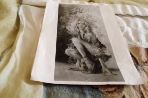 Проект по авторской схеме от Иволги "Виктория" отчет 58