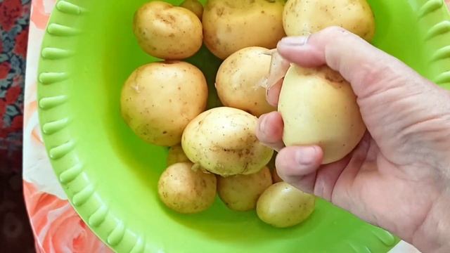 Подкапываем молодой картофель сорт "КОЛОМБО" на пробу урожай 2023г.