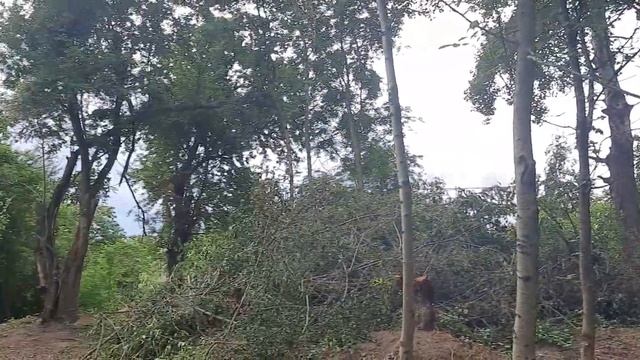 Купить участок у реки в станице Азовская Северский район Краснодарский край