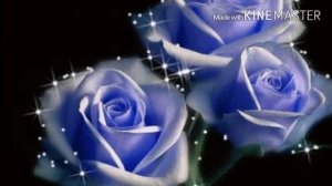 "Frequenz"- Синие Розы