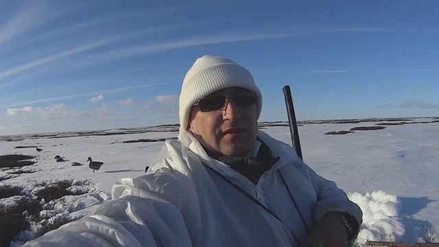 Охота на гуся. Весенний гусь. Goose hunting. смотреть онлайн