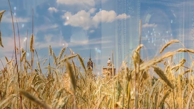Ансамбль УМВД России по Тульской области- Родина