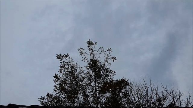 Мой дом летает. Вероника Долина. смотреть онлайн