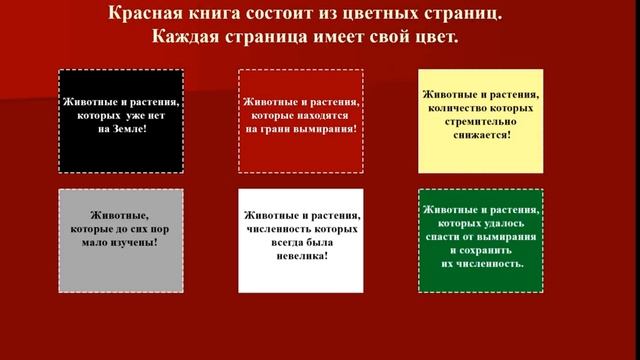 Мир животных и растений из Красной книги