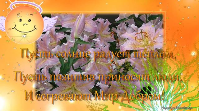 Солнечный приветик тебе от меня!