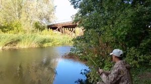 Осенний жор щуки. Охота и рыбалка в Оренбургской области