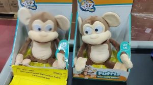 Безумные обезьянки.