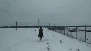 Зимняя прогулка на лошадях! Клип про лошадей!!!