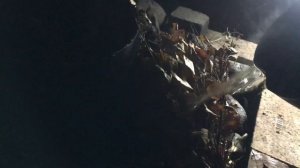 ? Банька по черному в Латвии для здоровья