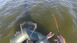 Сом на спиннинг!!! Вот это рыбалка!!!!!