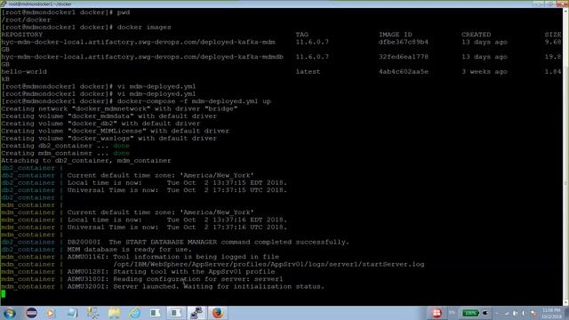 IBM InfoSphere Master Data Management v11.6 FP 7 on Docker