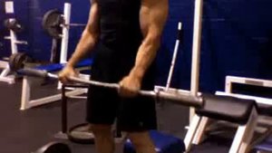 larry scott avant bras training