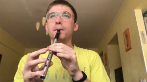 Concerning Hobbits ( tin whistle cover), Хоббиты на тинвистле