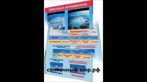 Видео обзор - Таблица демонстрационная "Циклоны и антициклоны" (винил 700х1000)