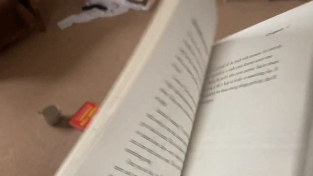 Documentation And Efficiency || Building a Webflow Agency - $0 to $100,000 смотреть онлайн