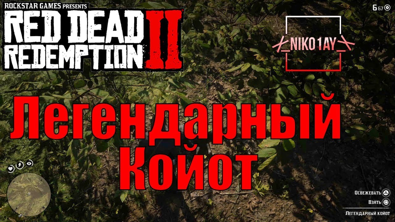 Red Dead Redemption 2 Легендарный Койот