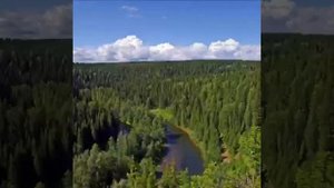 стихотворение "Люблю тебя моя Россия"
