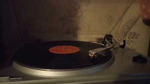 Каролина - Розовые краски 1991