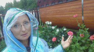 Видео привет с 6 соток 21 июля 2024 года.