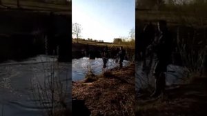 Рыбалка кастинговой сетью, кастинговая сеть.