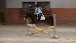 Тренировки и выступление на пони юных всадников