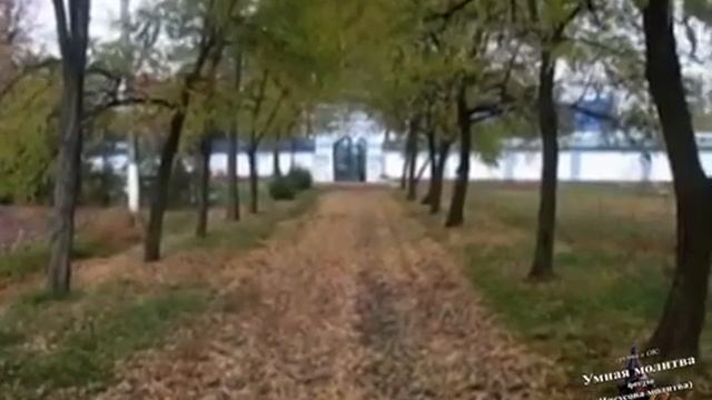 Один день в Мгаре.mp4 смотреть онлайн