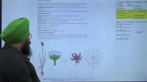 Postmortem | Morphology & Anatomy Of Flowering Plants | NEETFLIX | NEET | Jagdeep Sir